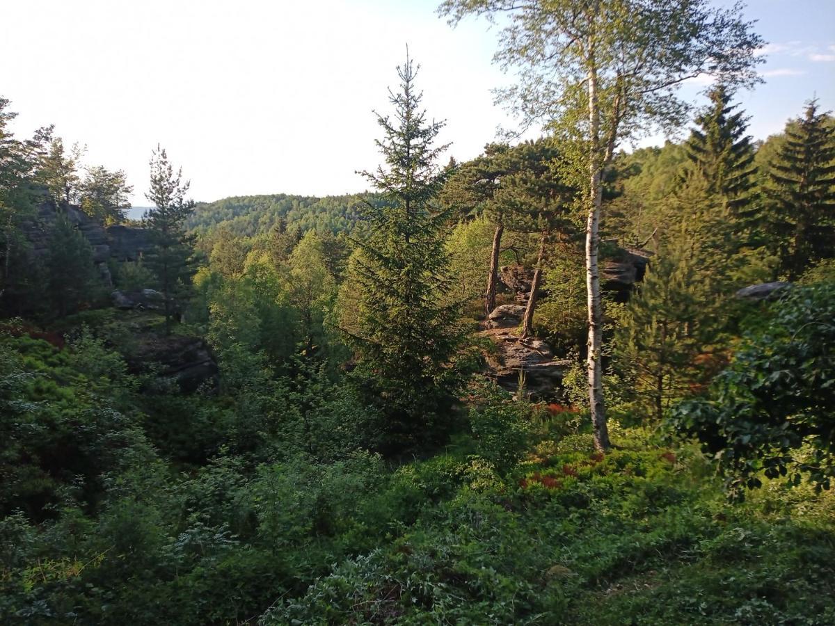 Fox House Tisa / Rajec Otel Dış mekan fotoğraf